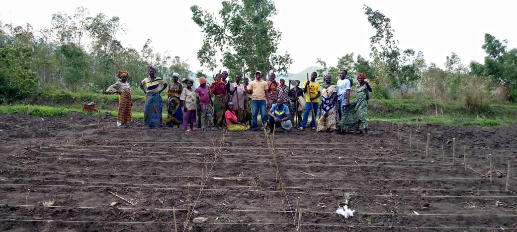 Featured Project