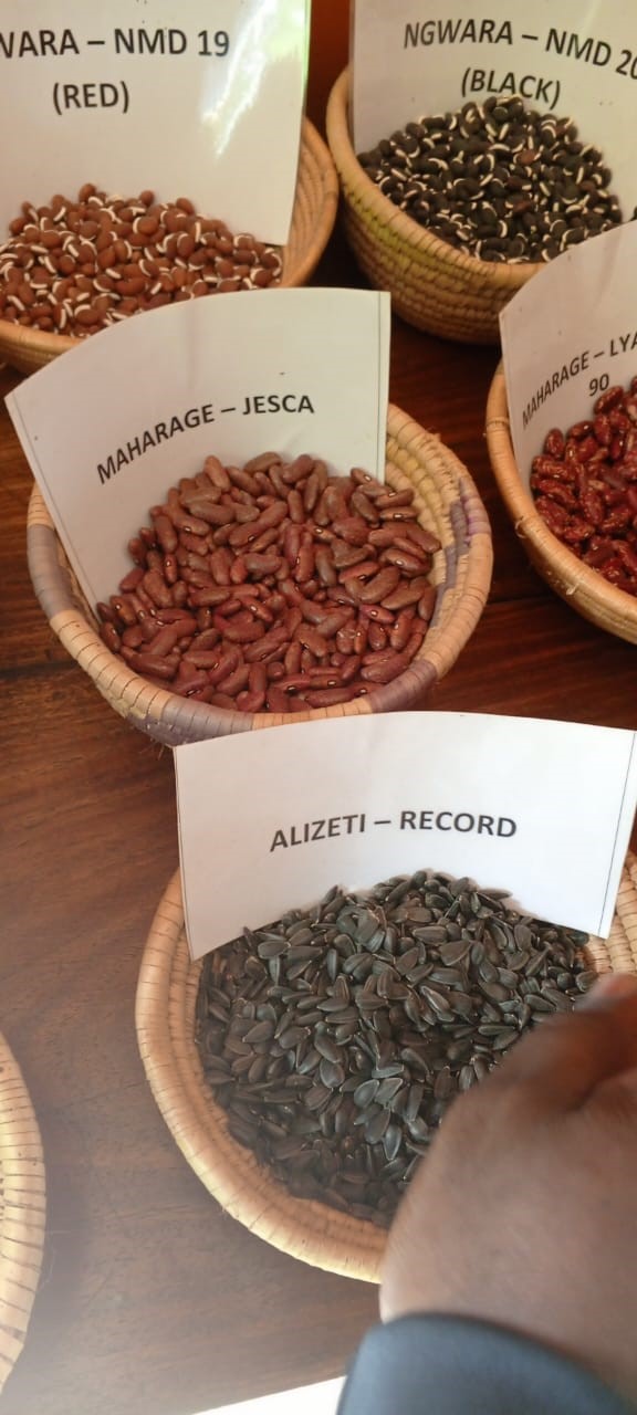 Seeds and Agricultural Products