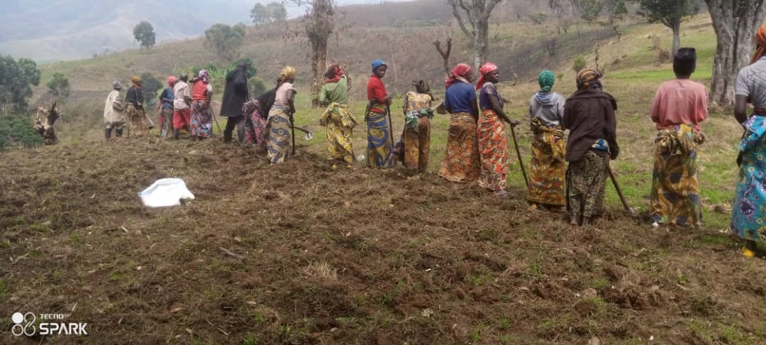 Community Farming