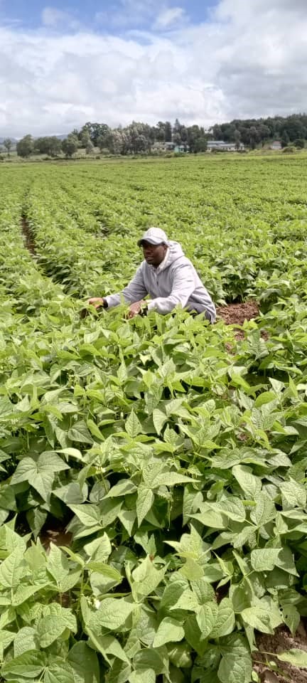 Field Monitoring