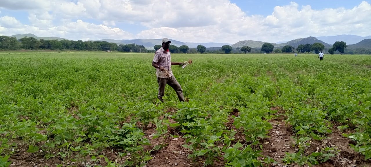 Food Security
